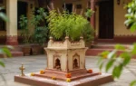 Tulsi Plant, Tulsi Plant