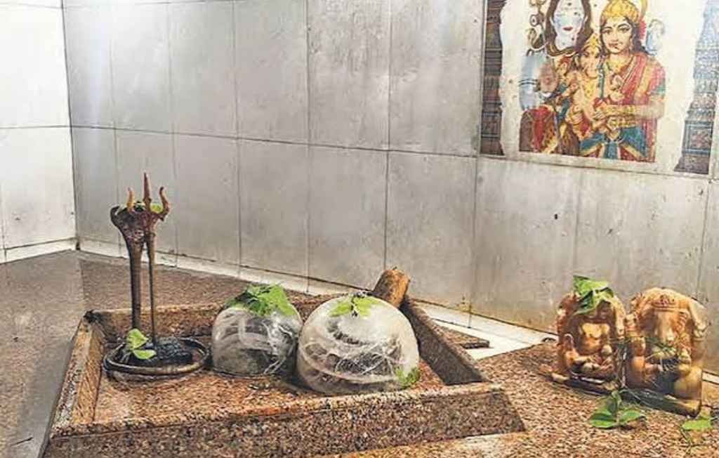 इस गुफा में साक्षात रुद्राक्ष रूप में हैं शिव-पार्वती! जानें इस अलौकिक शिवधाम का रहस्य | Rudraksha Shiv Temple Mysterious Rudraksha Shiv Temple, Aravalli hills mysterious Shiva temple, Rudraksha Shiv Temple