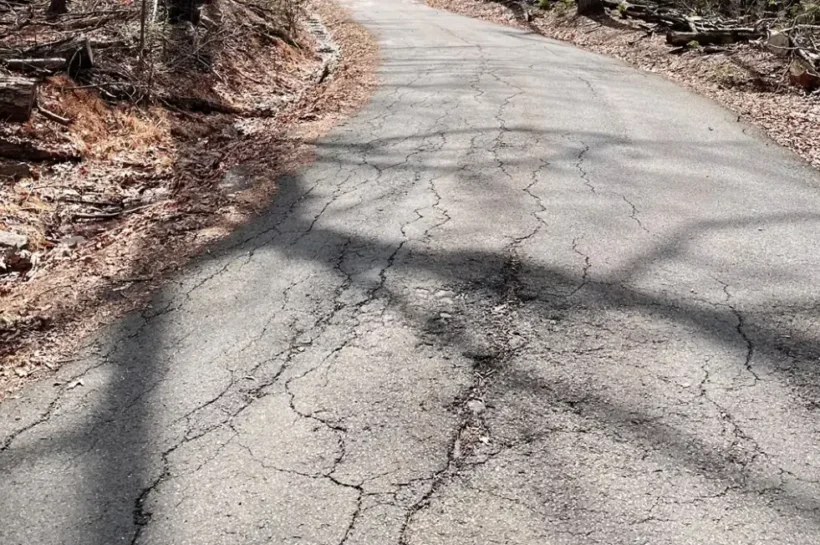 AI Pothole Detector & Road Damage, AI Pothole Detector & Road Damage,