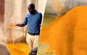 Kanpur Fake Turmeric Factory