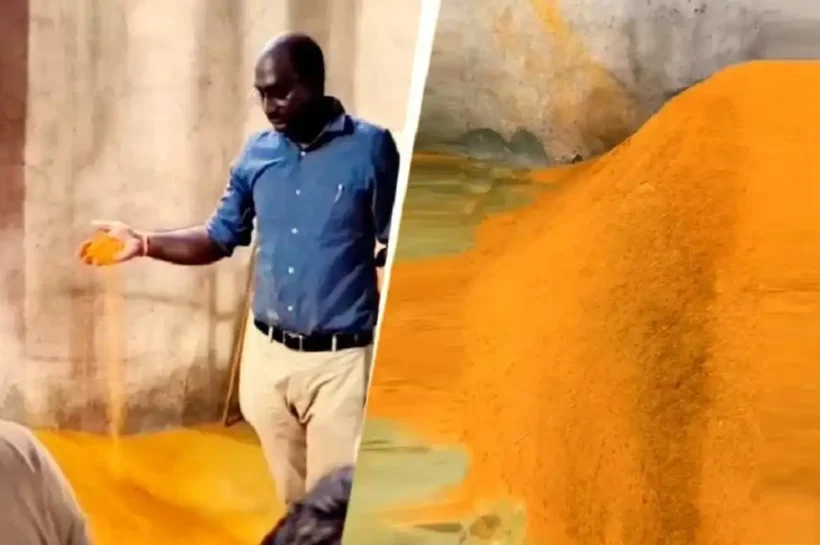 Kanpur Fake Turmeric Factory