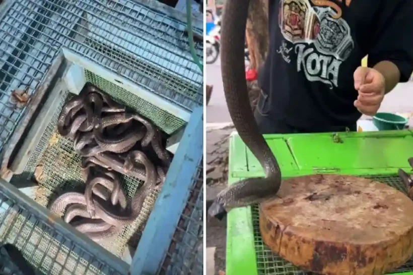 Jakarta viral video