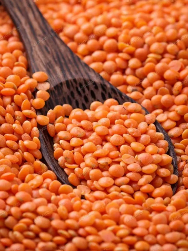 प्रोटीन का पावरहाउस है मसूर की दाल!