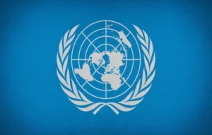 UN Inspira job application