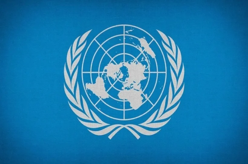 UN Inspira job application